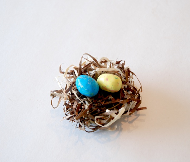 egg nest4