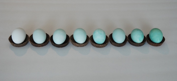 ombre eggs new3