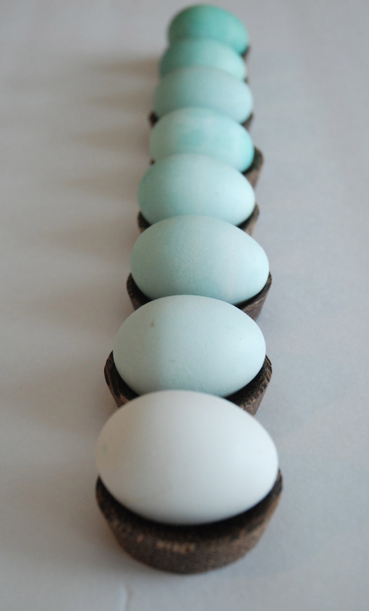 ombre eggs new5