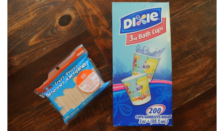 ice cream pop supplies