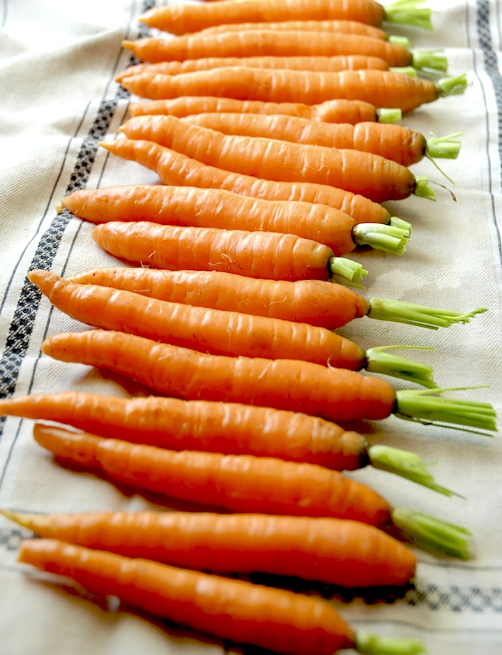 farmhouse carrots4