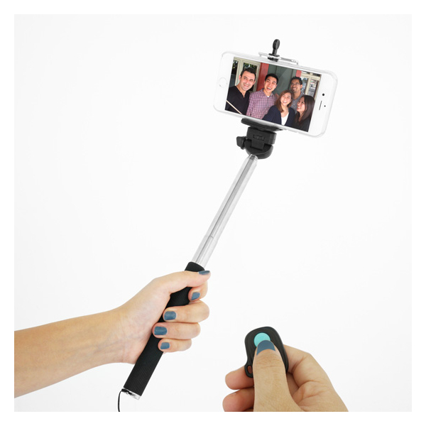 selfie stick and remote