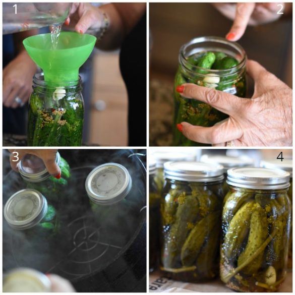 Canning Dill Pickles Sugar Plum Sisters